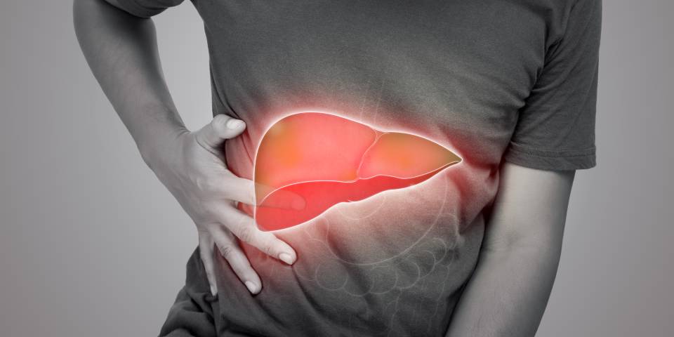 common-types-of-liver-disease-and-their-treatments-175782075236465621319-1757859051978-1757859052198794759189.jpg