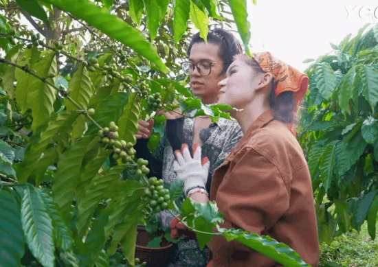 Màn kén rể nhanh nhất lịch sử của mẹ tiểu thư 7.000 tỷ - Ảnh 6.