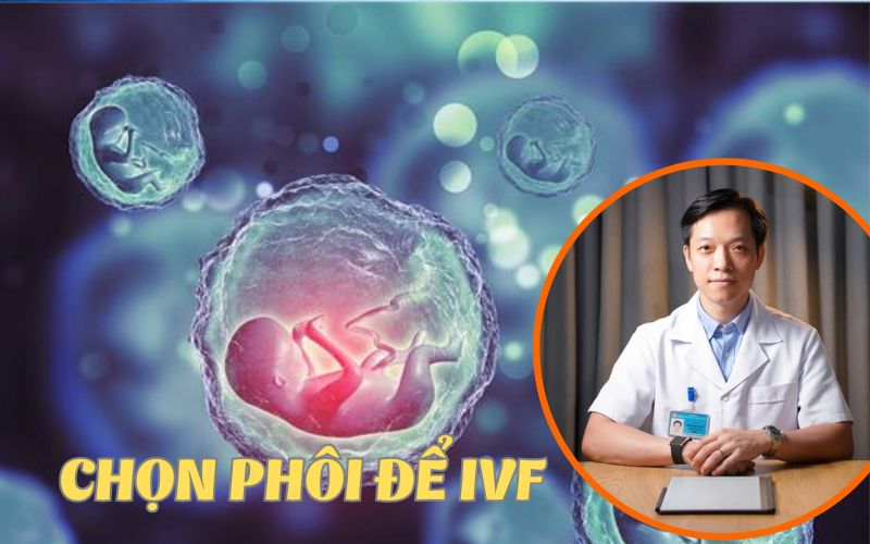 Bác sĩ sản khoa tiết lộ: Phôi tươi hay phôi đông lạnh tốt hơn, khi nào thì nên chuyển phôi tươi?