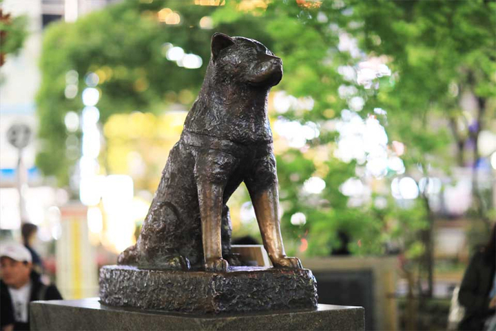 cho-hachiko-20090224-1757904158356-17579041584671265031175.jpg