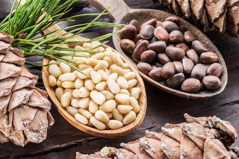 Loại hạt đắt đỏ &quot;bậc nhất thế giới&quot;, ở Việt Nam xưa rụng đầy gốc ít ai nhặt - Ảnh 3.