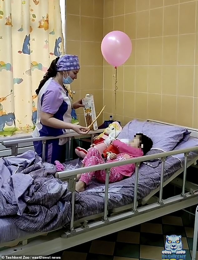 Phẫn nộ tột cùng: Mẹ ném con 3 tuổi vào chuồng gấu, 4 năm sau tiếp tục xuống tay tiếp với chính con mình - Ảnh 3.