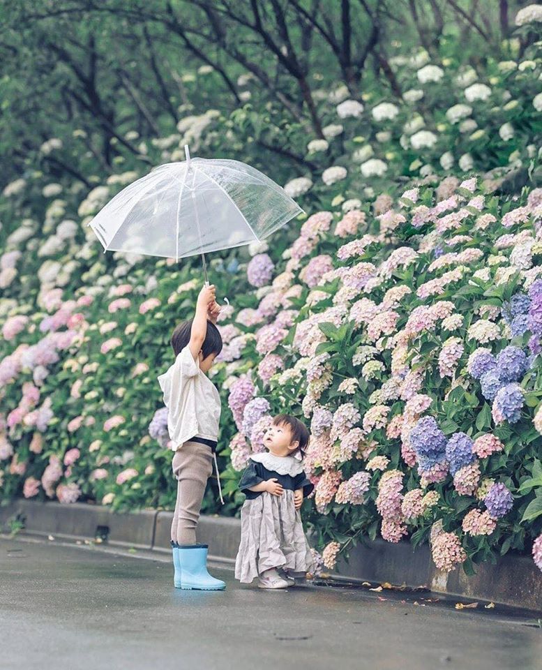 Những cái QUÁ của bố mẹ sẽ âm thầm hủy hoại con- Ảnh 3. Những cái QUÁ của bố mẹ sẽ âm thầm hủy hoại con- Ảnh 3.