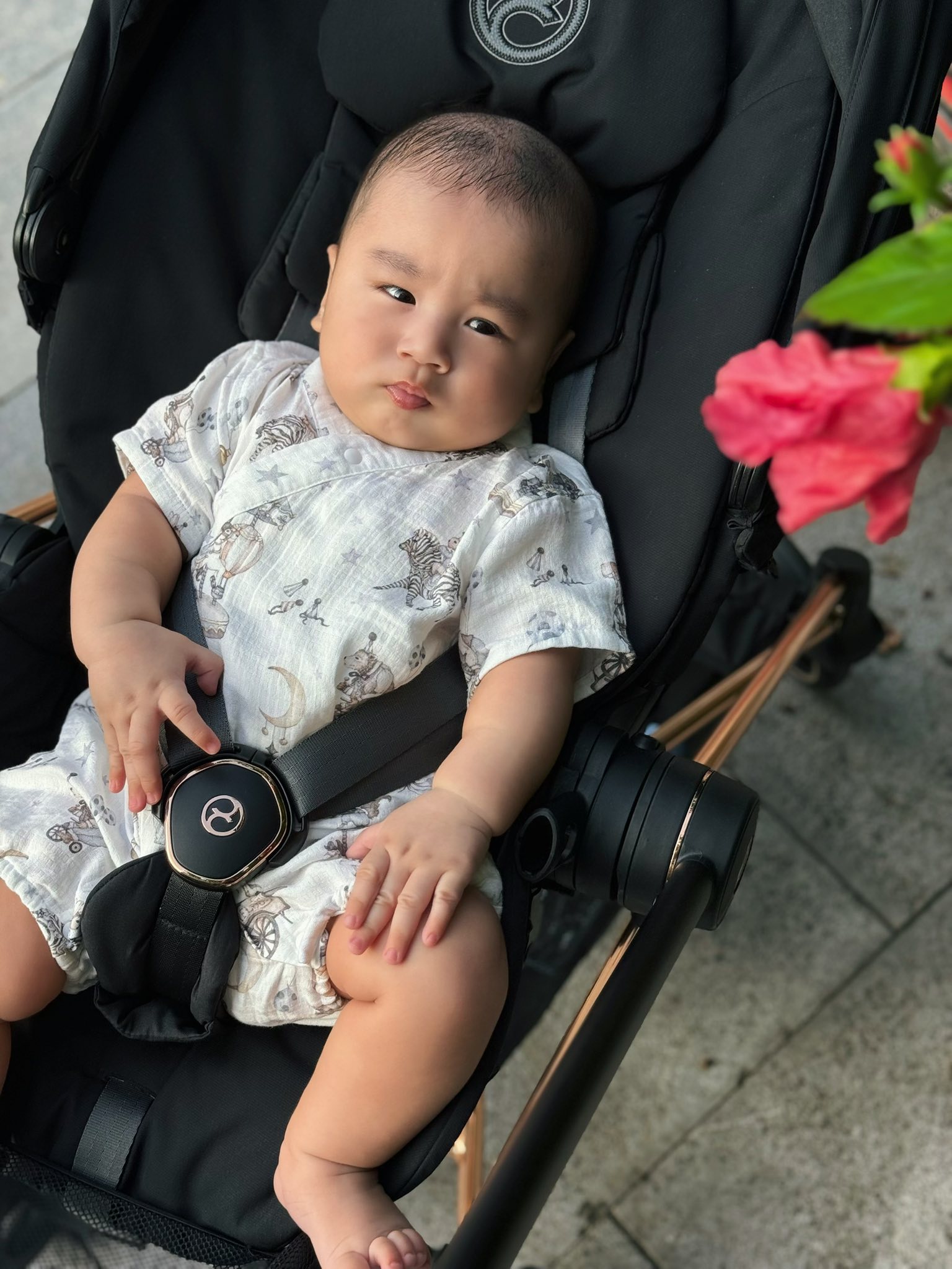 Chú bé Panda nhà MC Mai Ngọc chưa được 5 tháng đã &quot;trộm vía&quot; nặng gần 9kg, hội các cô các dì thi nhau vào xin vía- Ảnh 3.
