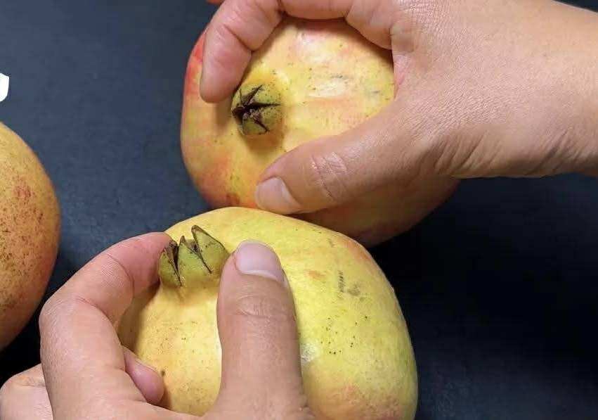 Mua lựu, cứ học thuộc &quot;mẹo nhỏ&quot; này là biết ngay là ngọt hay không - Ảnh 3.