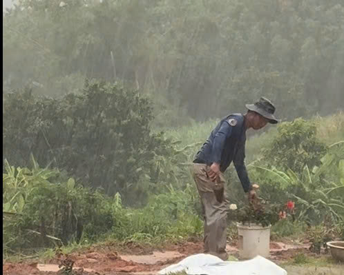 Câu chuyện xúc động về người chồng trồng hoa tưởng nhớ vợ Sau tai nạn giao thông - Ảnh 4.