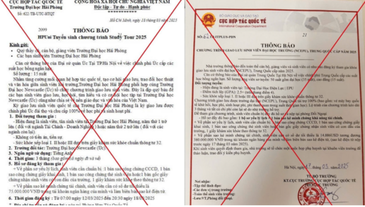 Bộ GD&ĐT cảnh báo thông tin giả về học bổng, tài trợ du học - Ảnh 1.