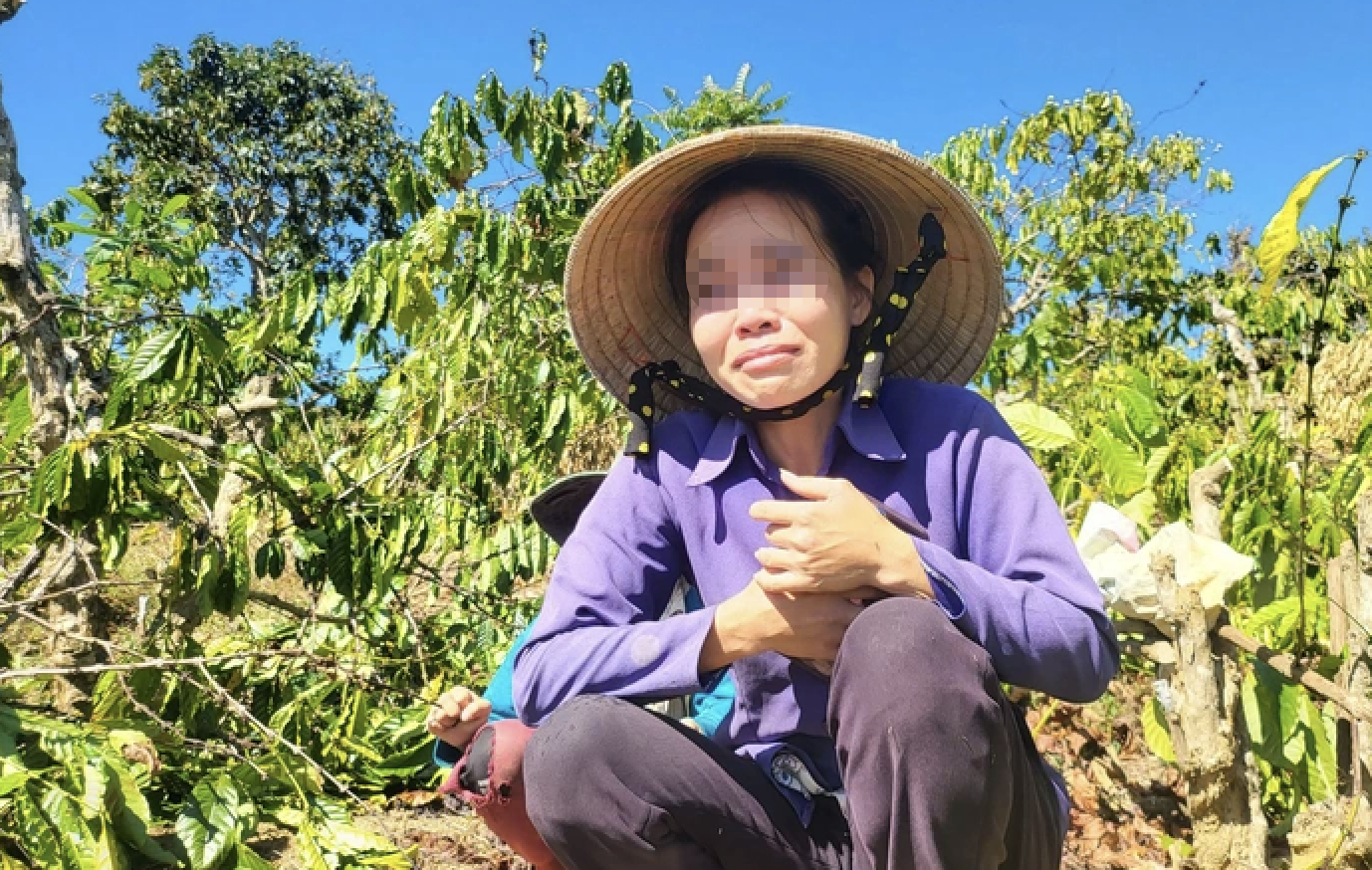 Diễn biến bất ngờ vụ anh rể phá vườn cây "đòi quan hệ với em vợ"- Ảnh 1. Diễn biến bất ngờ vụ anh rể phá vườn cây "đòi quan hệ với em vợ"- Ảnh 1.