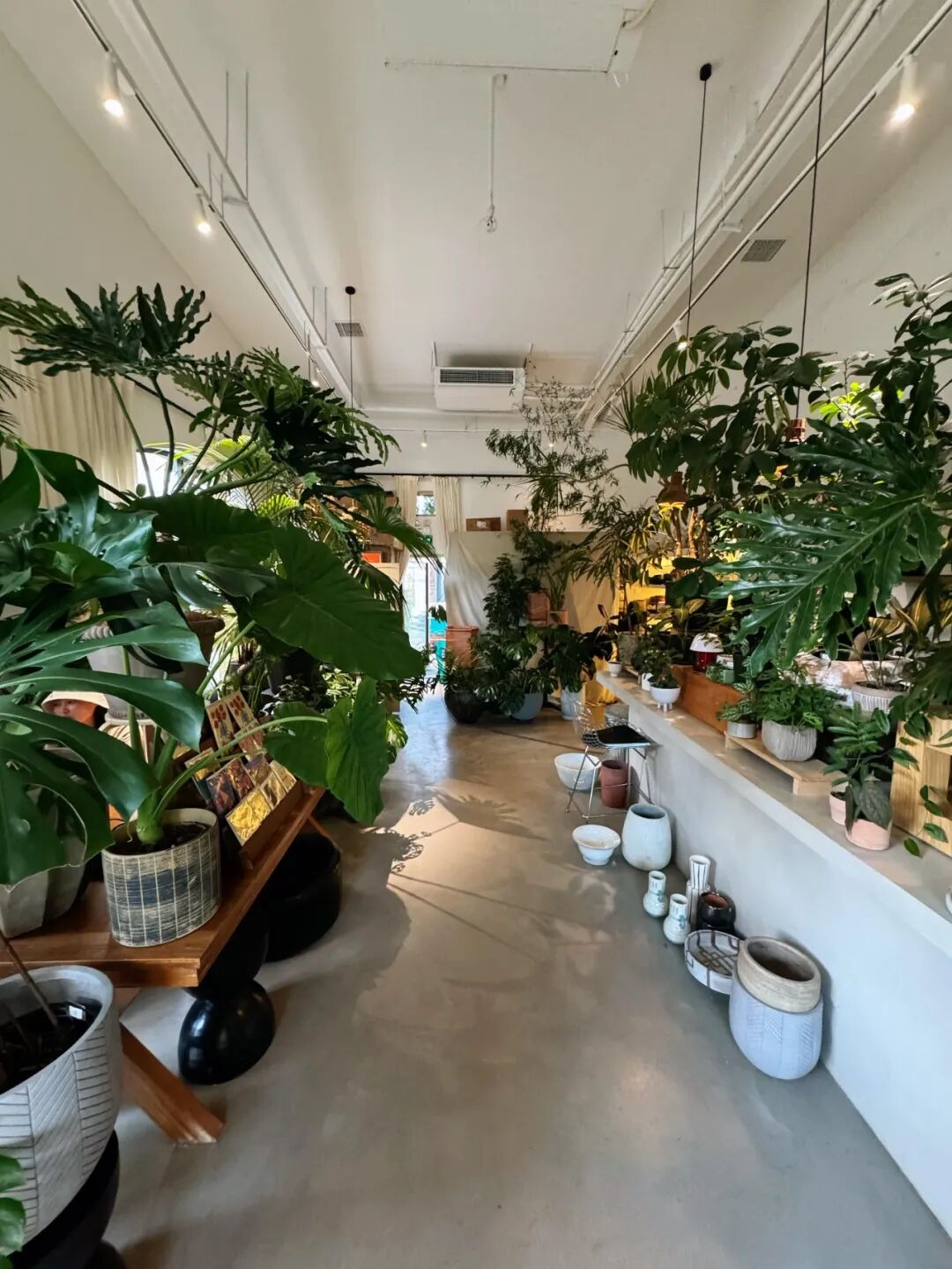 Có 6 thứ càng mua càng khổ: Nhà cửa chật không còn chỗ thở, ví tiền chưa đầy đã rỗng tuếch- Ảnh 5. Có 6 thứ càng mua càng khổ: Nhà cửa chật không còn chỗ thở, ví tiền chưa đầy đã rỗng tuếch- Ảnh 5.
