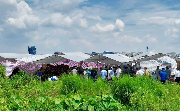 Khởi tố kẻ lái máy xúc đào xới mộ tại Hưng Yên - Ảnh 2. Khởi tố kẻ lái máy xúc đào xới mộ tại Hưng Yên - Ảnh 2.