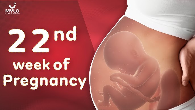 Tuần thai thứ 22: Giác quan của bé đã hoàn thiện, mẹ bắt đầu rạn da- Ảnh 6. Tuần thai thứ 22: Giác quan của bé đã hoàn thiện, mẹ bắt đầu rạn da- Ảnh 6.