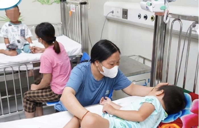 Ba đứa trẻ bị ong đốt hơn 80 vết khi theo bà đi làm nương, một bé không qua khỏi - Ảnh 2. Ba đứa trẻ bị ong đốt hơn 80 vết khi theo bà đi làm nương, một bé không qua khỏi - Ảnh 2.