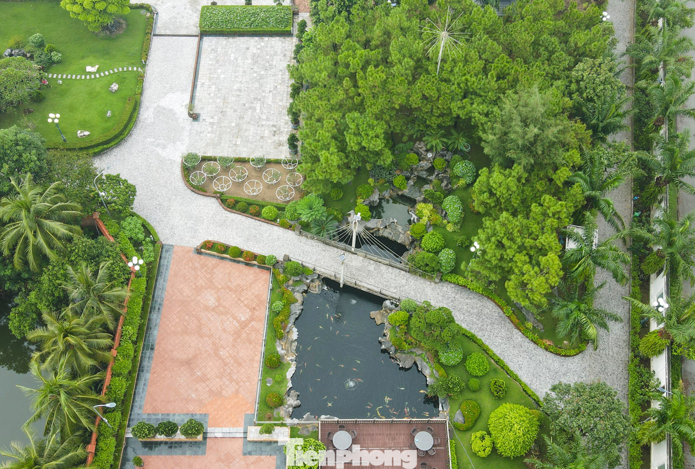 Bộ GD - ĐT yêu cầu xử lý nghiêm vụ học sinh túm tóc cô giáo tại Hà Nội - Ảnh 5.