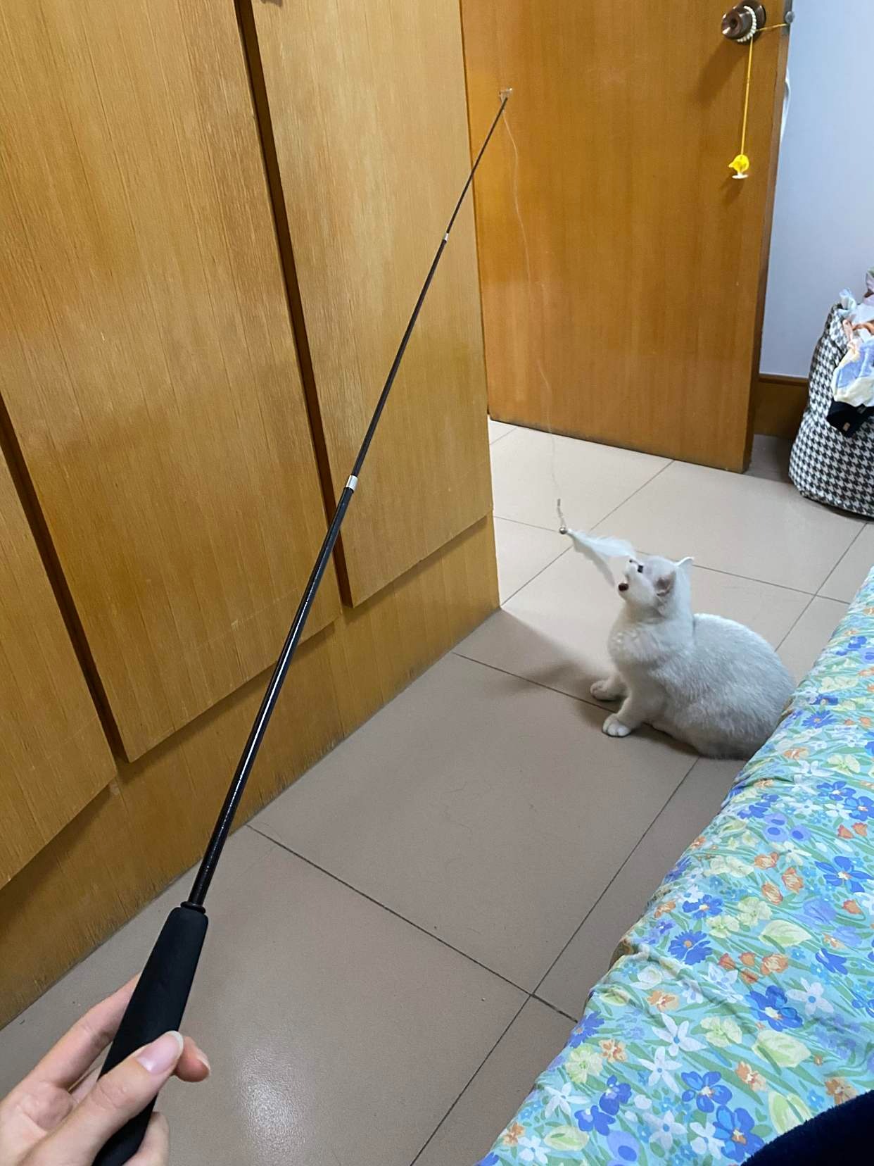 Cảnh báo: 6 thứ quen mặt tiềm ẩn sợi thuỷ tinh nguy hiểm, gây dị ứng da, càng dùng lâu càng tổn hại sức khoẻ- Ảnh 6. Cảnh báo: 6 thứ quen mặt tiềm ẩn sợi thuỷ tinh nguy hiểm, gây dị ứng da, càng dùng lâu càng tổn hại sức khoẻ- Ảnh 6.