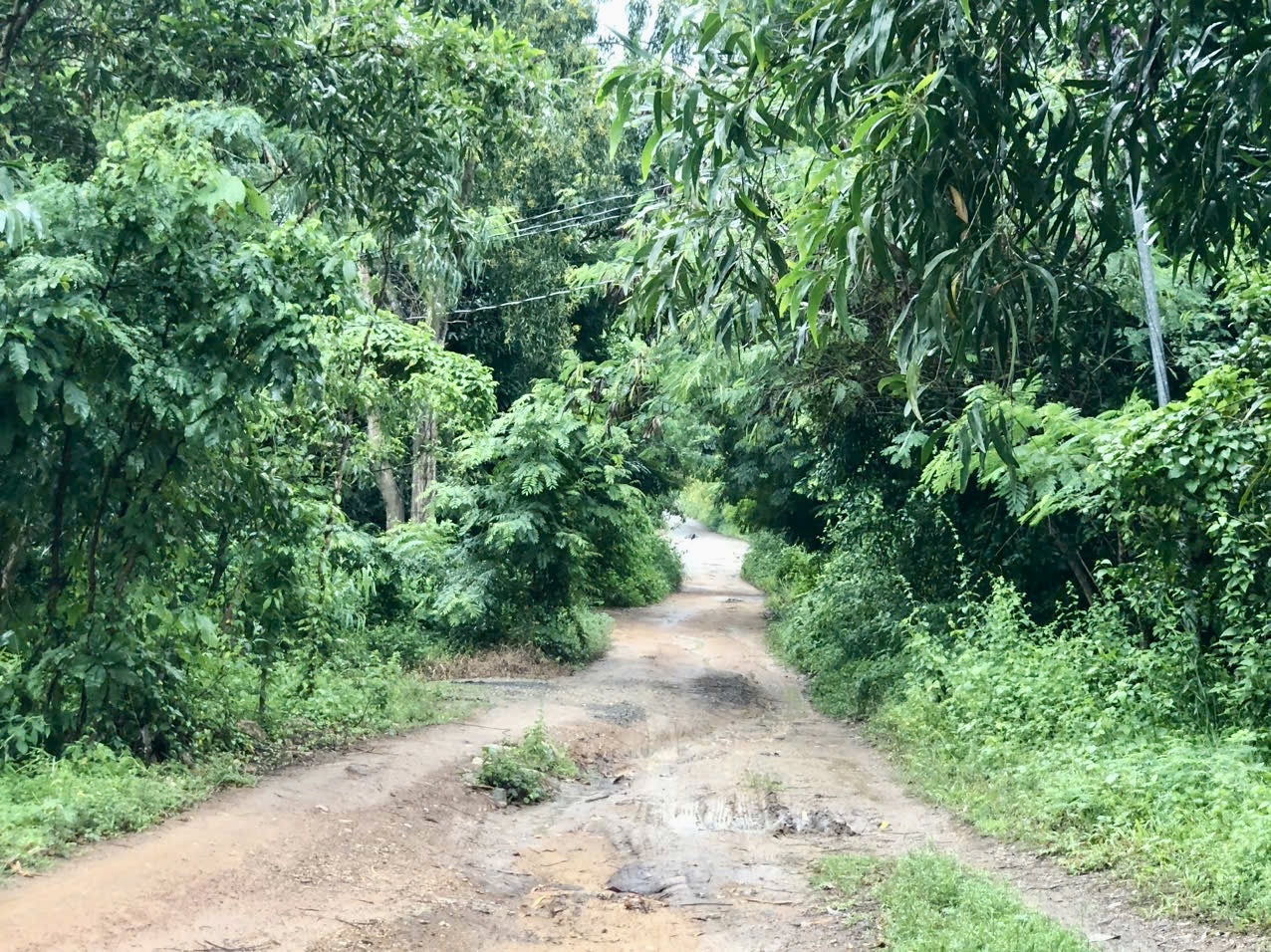 Nghi án con trai sát hại mẹ, tấn công chị gái- Ảnh 1. Nghi án con trai sát hại mẹ, tấn công chị gái- Ảnh 1.