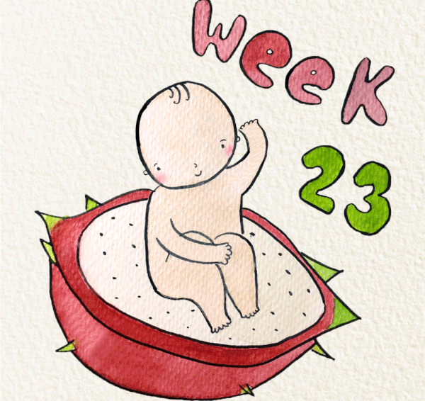 23-weeks-pregnant-pregnancy-week-by-week-1000x566-c-1758535690527941253089-1758596955465-17585969565981726238404.gif