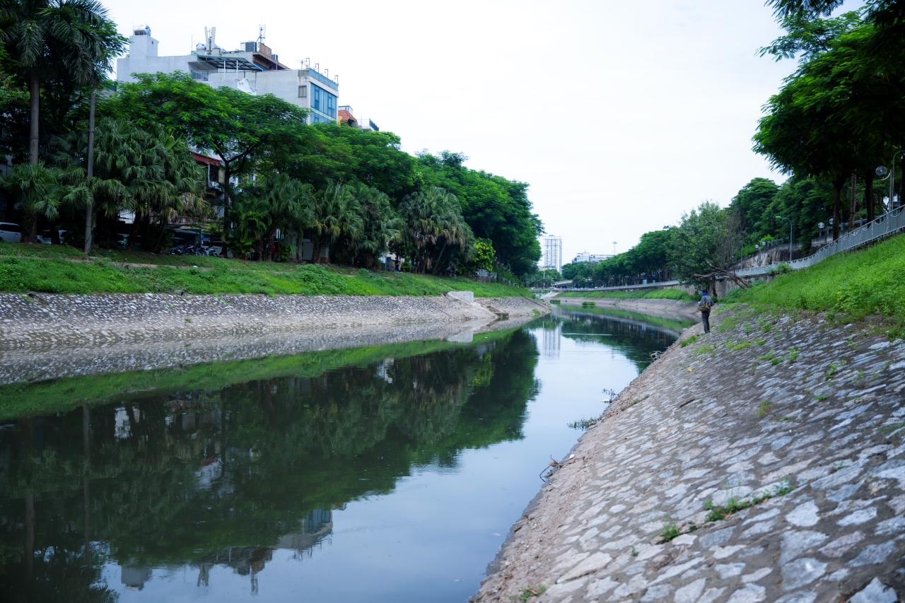 Hà Nội: Cá chết xuất hiện trên sông Tô Lịch, màu nước không còn trong xanh- Ảnh 1.