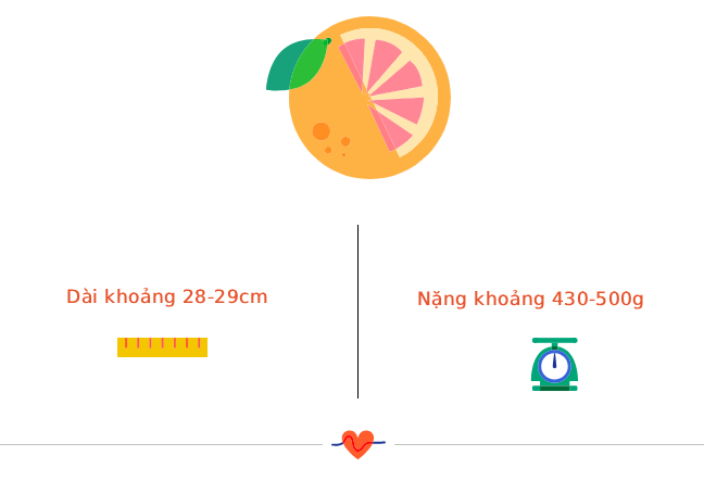 tuan-23-2-17585352375641501732188-1758596936097-1758596936655119125330.jpg