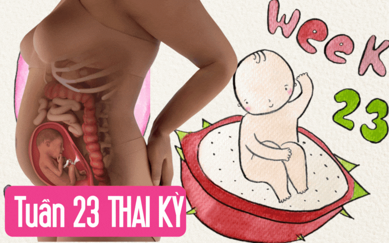 tuan-4-thai-ky-17-17585969947081597482401-0-0-500-800-crop-17585969975221146348837.gif
