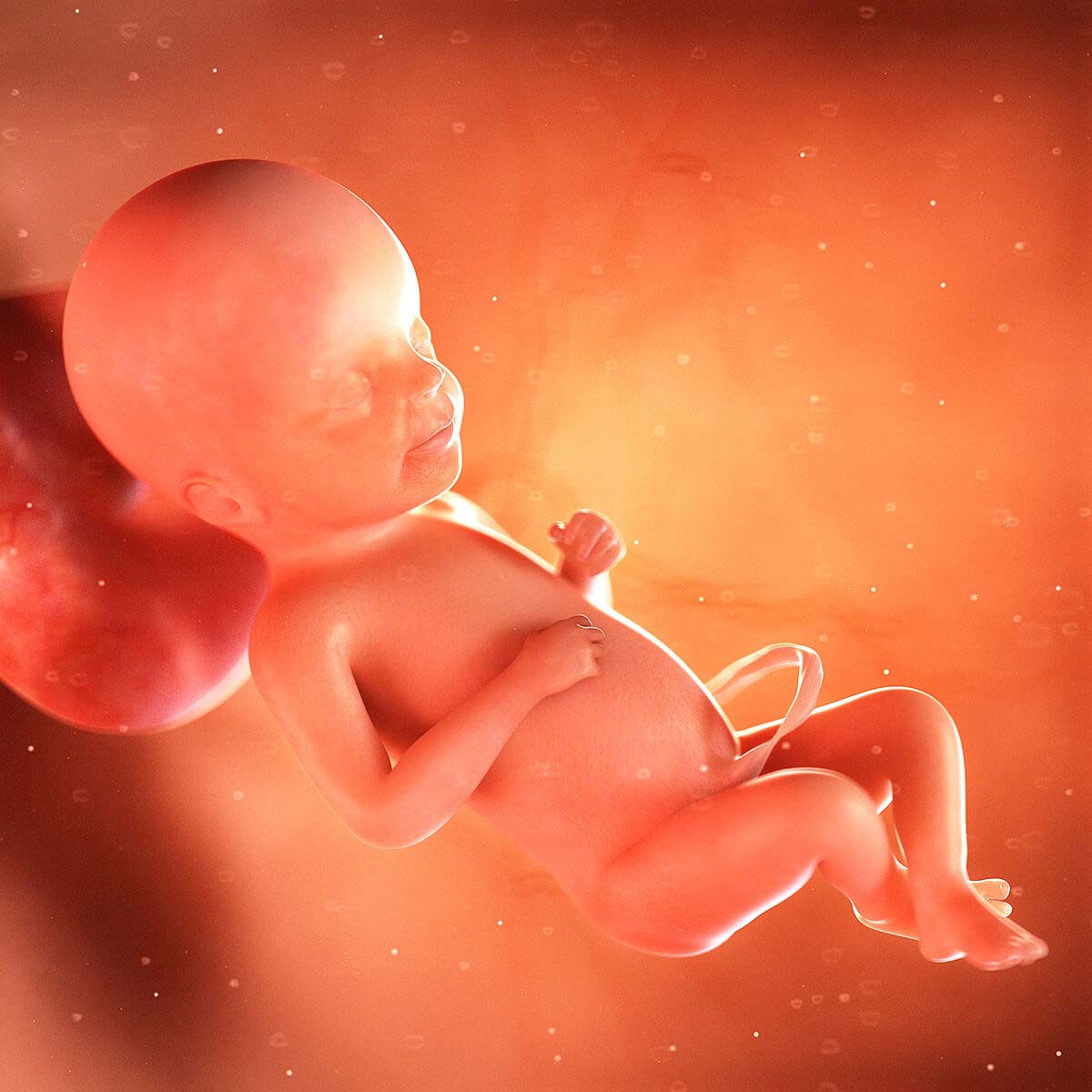 wbw-your-baby-2021-alt-w23-1200x1200-17585356341701326719205-1758596951677-1758596951881147559536.jpg