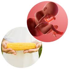 175877756165711475372-1758787936232-17587879414331506543123.jpg