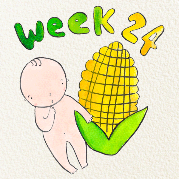 24-weeks-pregnant-pregnancy-week-by-week-1758777658602387109945-1758787934637-17587879347341576522446.gif