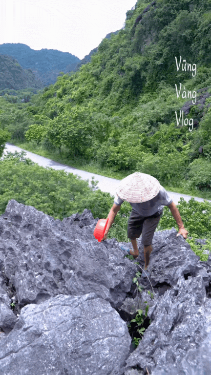 dun-da-dac-san-ninh-binh-1-17587812147331954317300.gif