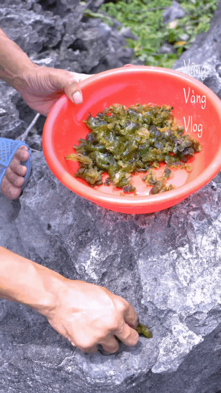 dun-da-dac-san-ninh-binh-17587812147351583043676.gif