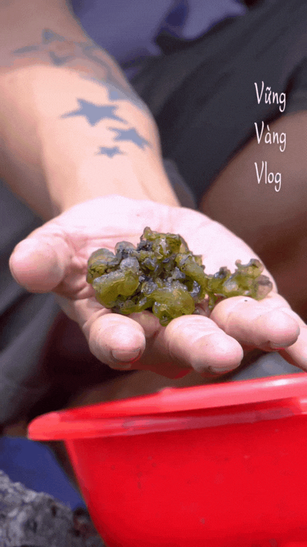 dun-da-dac-san-ninh-binh-2-175878121472912739635.gif