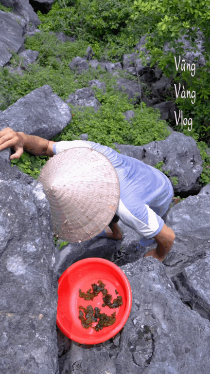 dun-da-dac-san-ninh-binh-3-17587812147221173820144.gif