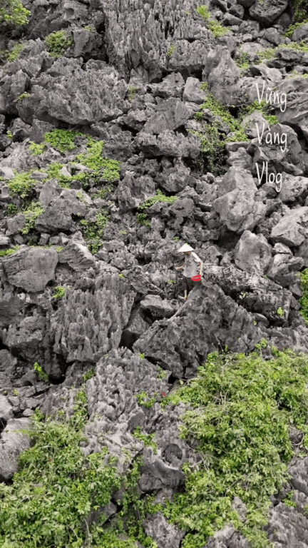 dun-da-dac-san-ninh-binh-5-17587812146281594418844.gif