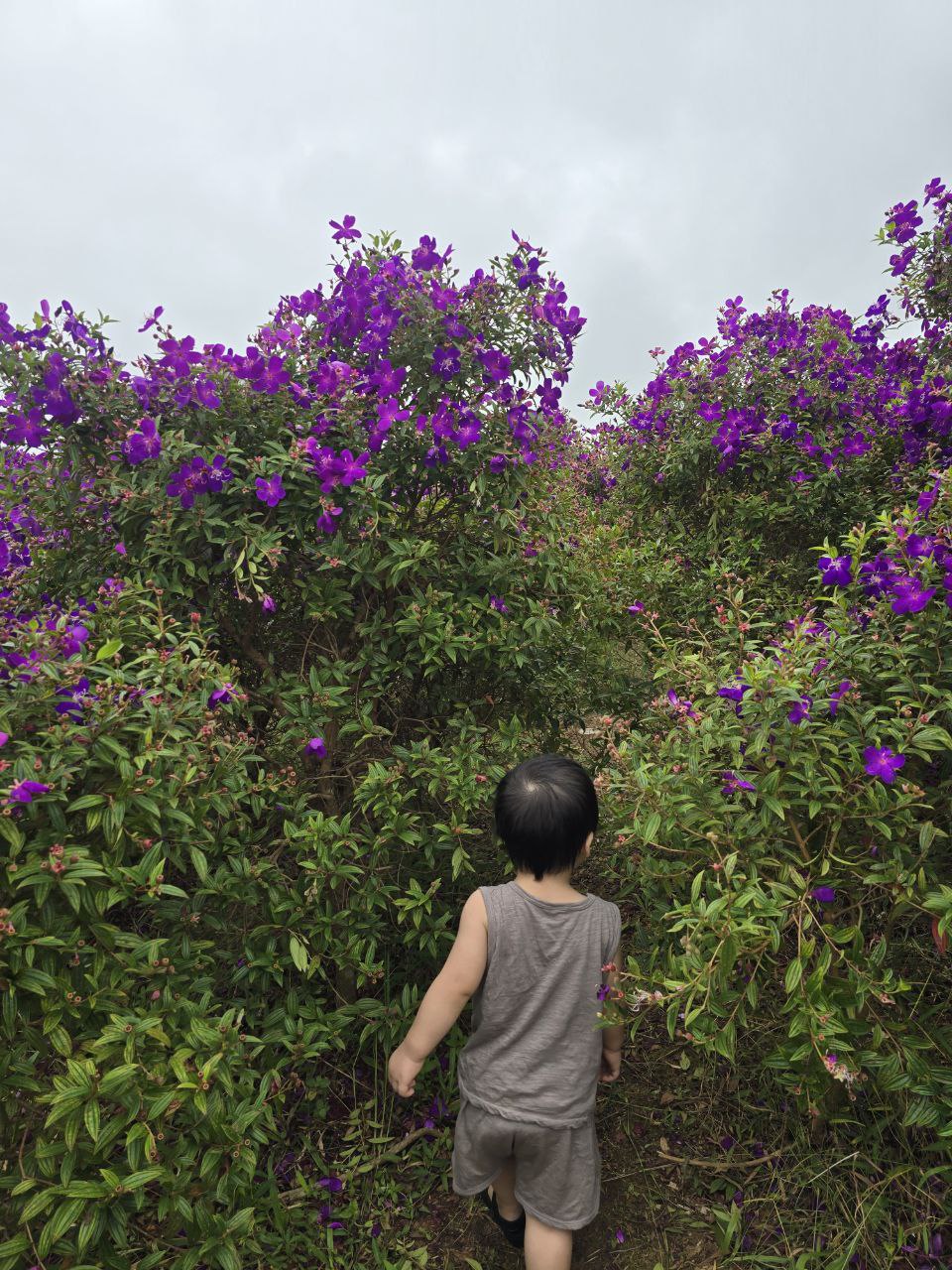 Chuyến x&ecirc; dịch 