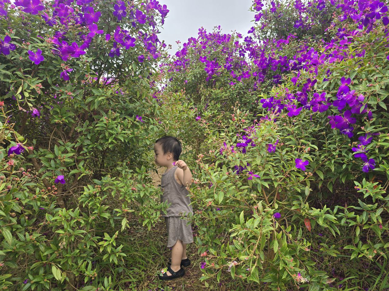 Chuyến x&ecirc; dịch 