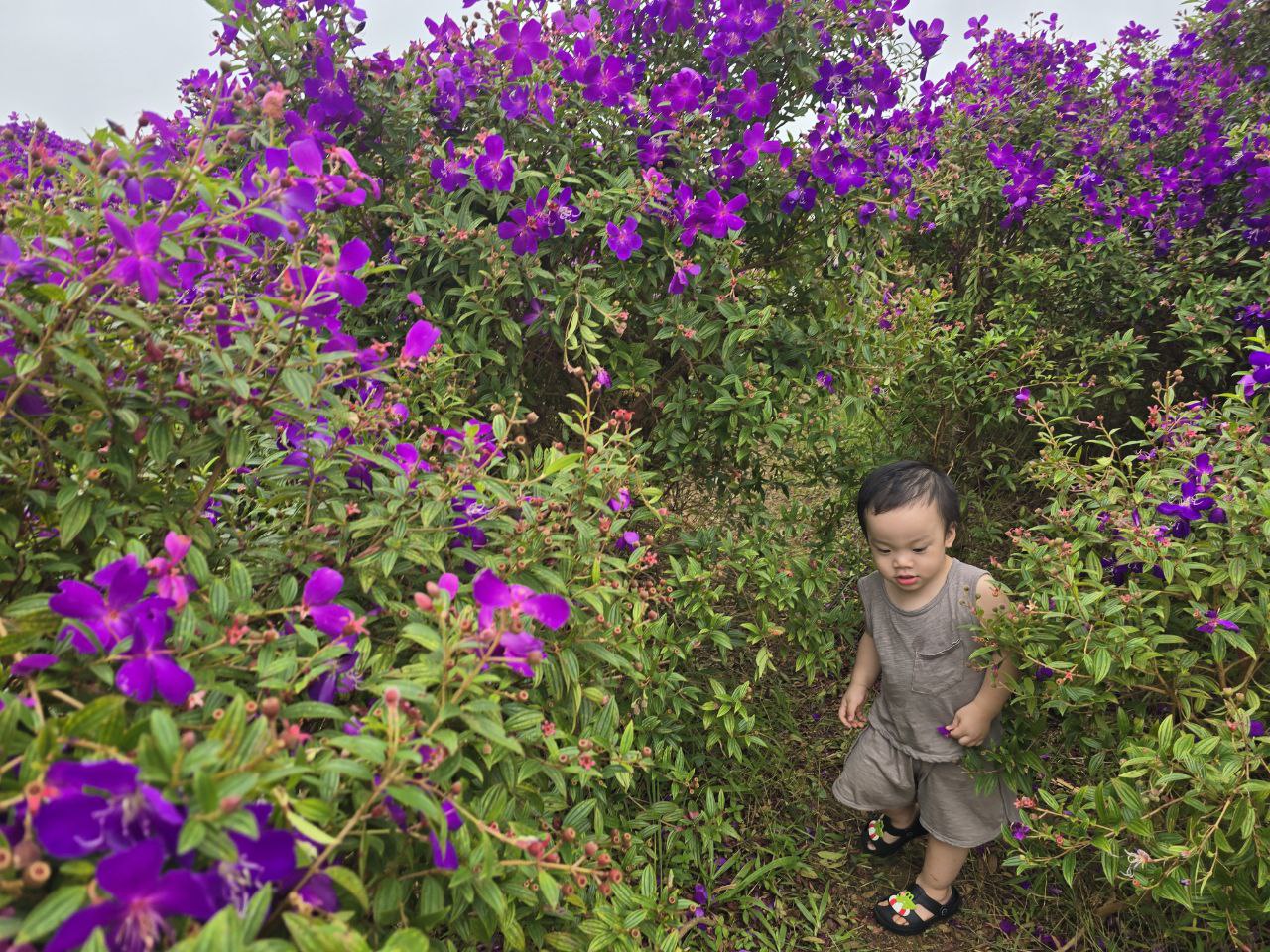 Chuyến x&ecirc; dịch 