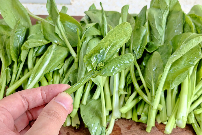 3 loại rau mùa thu được gọi là 'vua canxi', ai cũng nên ăn thường xuyên - Ảnh 1.