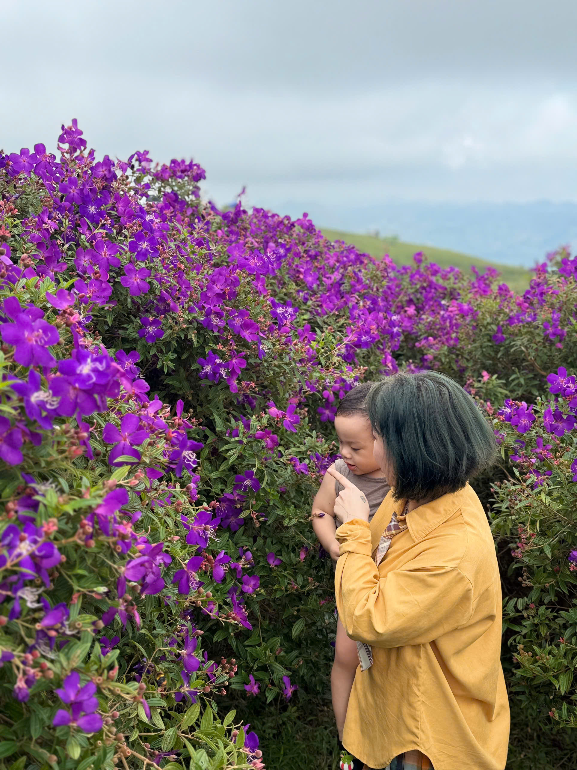 Chuyến x&ecirc; dịch 