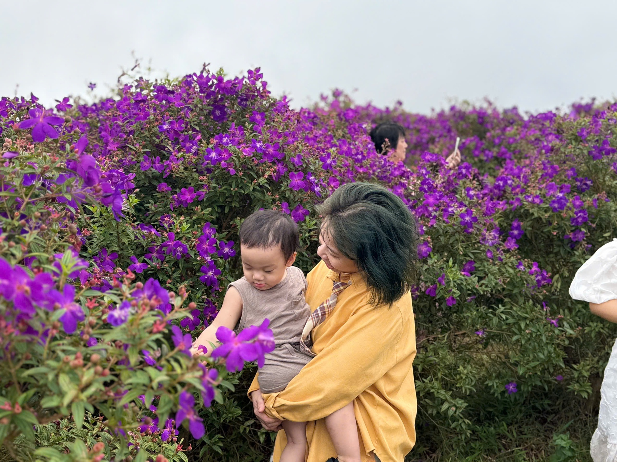 Chuyến x&ecirc; dịch 