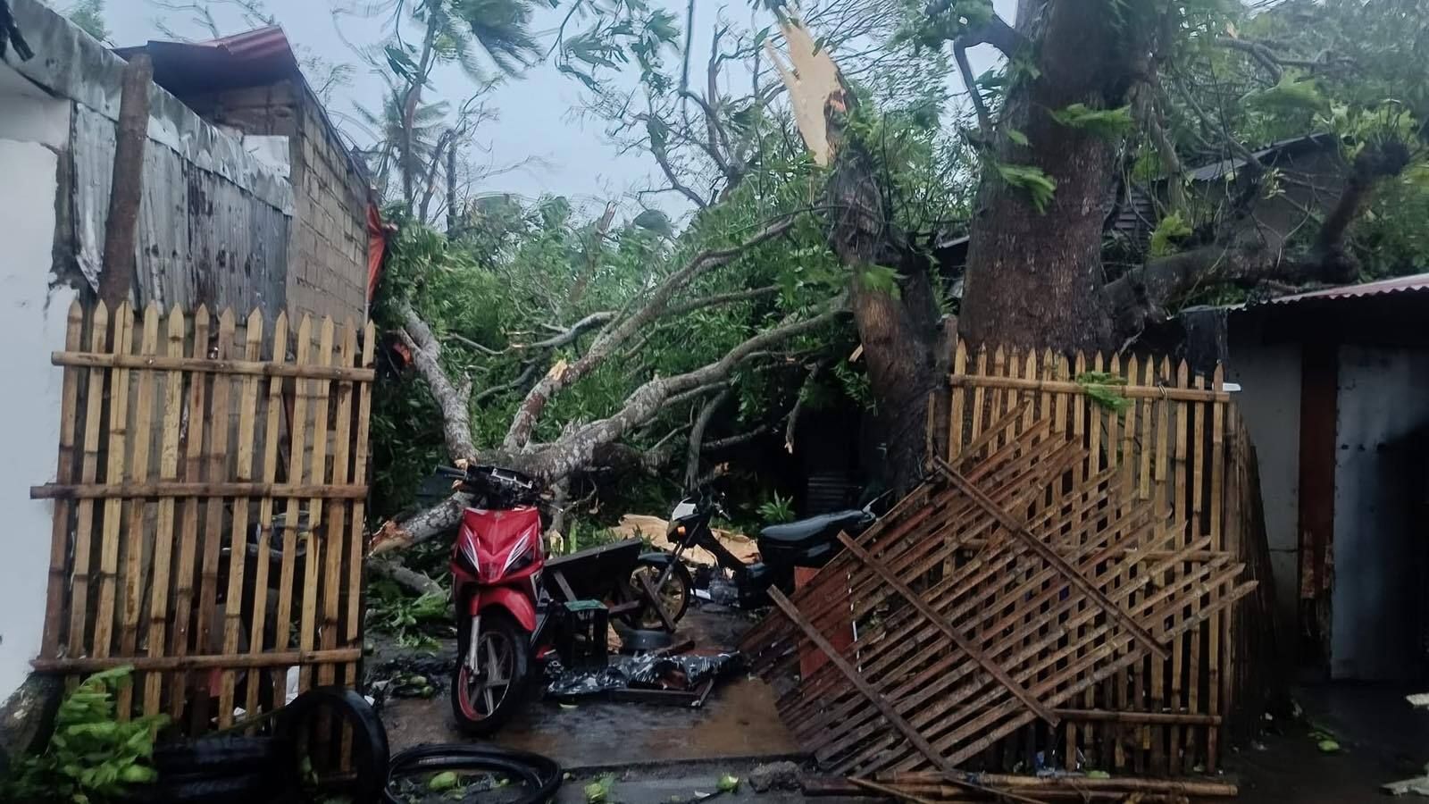 Cảnh tượng đổ nát ở Philippines sau bão Bualoi: Ít nhất 4 người chết, hàng chục nghìn dân phải sơ tán - Ảnh 11.