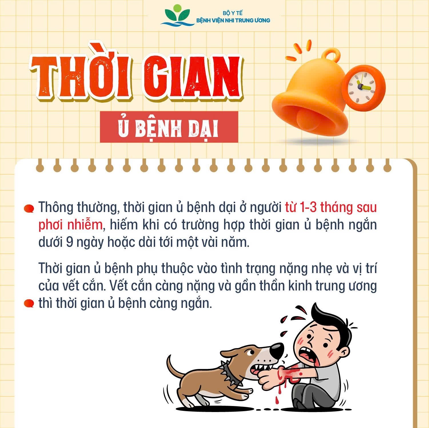 Mỗi năm thế giới ghi nhận khoảng 59.000 trường hợp tử vong do bệnh dại ở người: Những việc cha mẹ cần làm để phòng bệnh dại cho con- Ảnh 3.