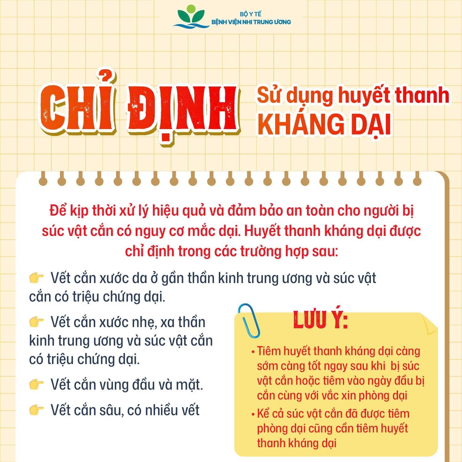 Mỗi năm thế giới ghi nhận khoảng 59.000 trường hợp tử vong do bệnh dại ở người: Những việc cha mẹ cần làm để phòng bệnh dại cho con- Ảnh 7.
