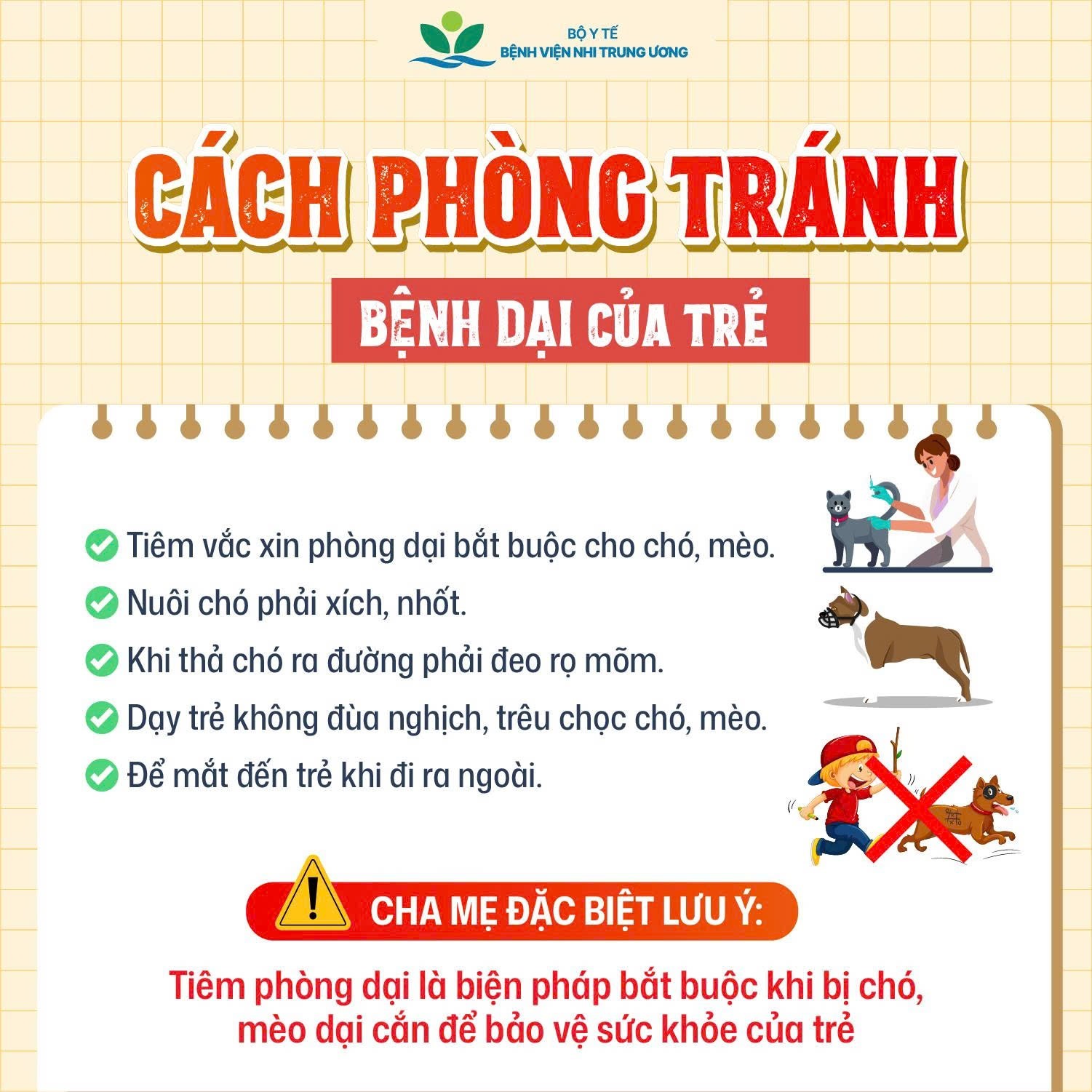 Mỗi năm thế giới ghi nhận khoảng 59.000 trường hợp tử vong do bệnh dại ở người: Những việc cha mẹ cần làm để phòng bệnh dại cho con- Ảnh 9.