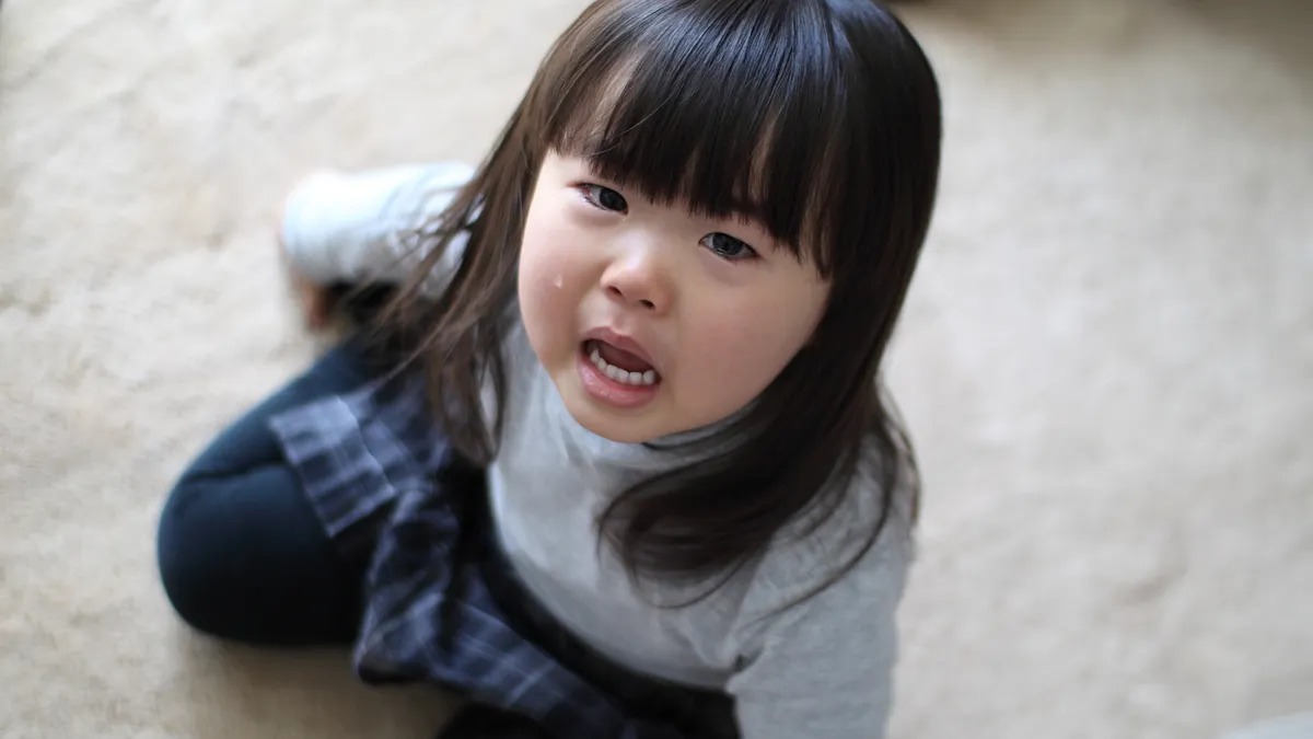 Tại sao trẻ càng &quot;ngoan&quot; lúc nhỏ, lớn lên càng dễ đau khổ? Hàng ngàn phụ huynh lặng người khi đọc xong- Ảnh 2.