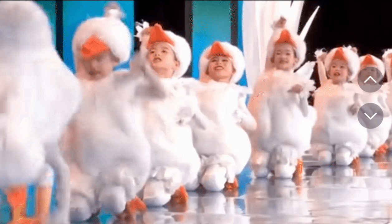 Ngoài bài múa &quot;Thỏ và Rùa&quot;, dân tình lại mò thêm múa gấu trúc, múa gà vịt... thậm chí còn múa kiến, đáng yêu vô cùng - Ảnh 6.