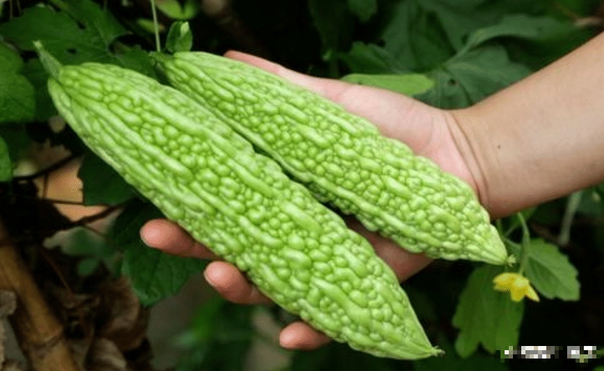 Nhất định phải nấu 4 món ăn này vào mùa thu để thanh nhiệt, giải độc cơ thể và khỏe mạnh khi mùa đông đến - Ảnh 7.
