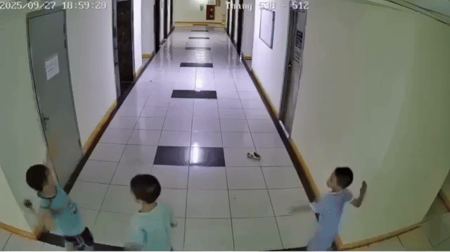 Bé trai ném dép làm hỏng thang máy chung cư ở Hà Nội: Gia đình lên tiếng về việc bồi thường - Ảnh 1.