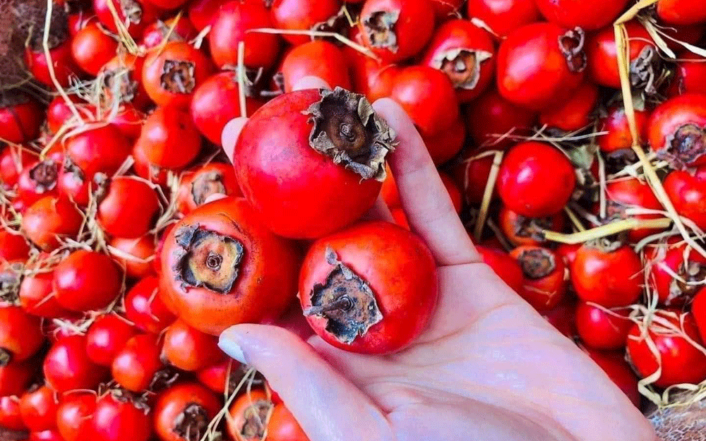 Đừng lầm tưởng! 3 loại trái cây nhiều người ăn để giảm cân lại khiến đường huyết tăng vọt
