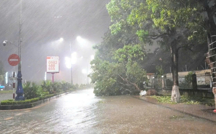 Cột điện gãy la liệt, mái tôn bay tứ tán, Hà Tĩnh - Quảng Trị ngổn ngang sau bão - Ảnh 11.