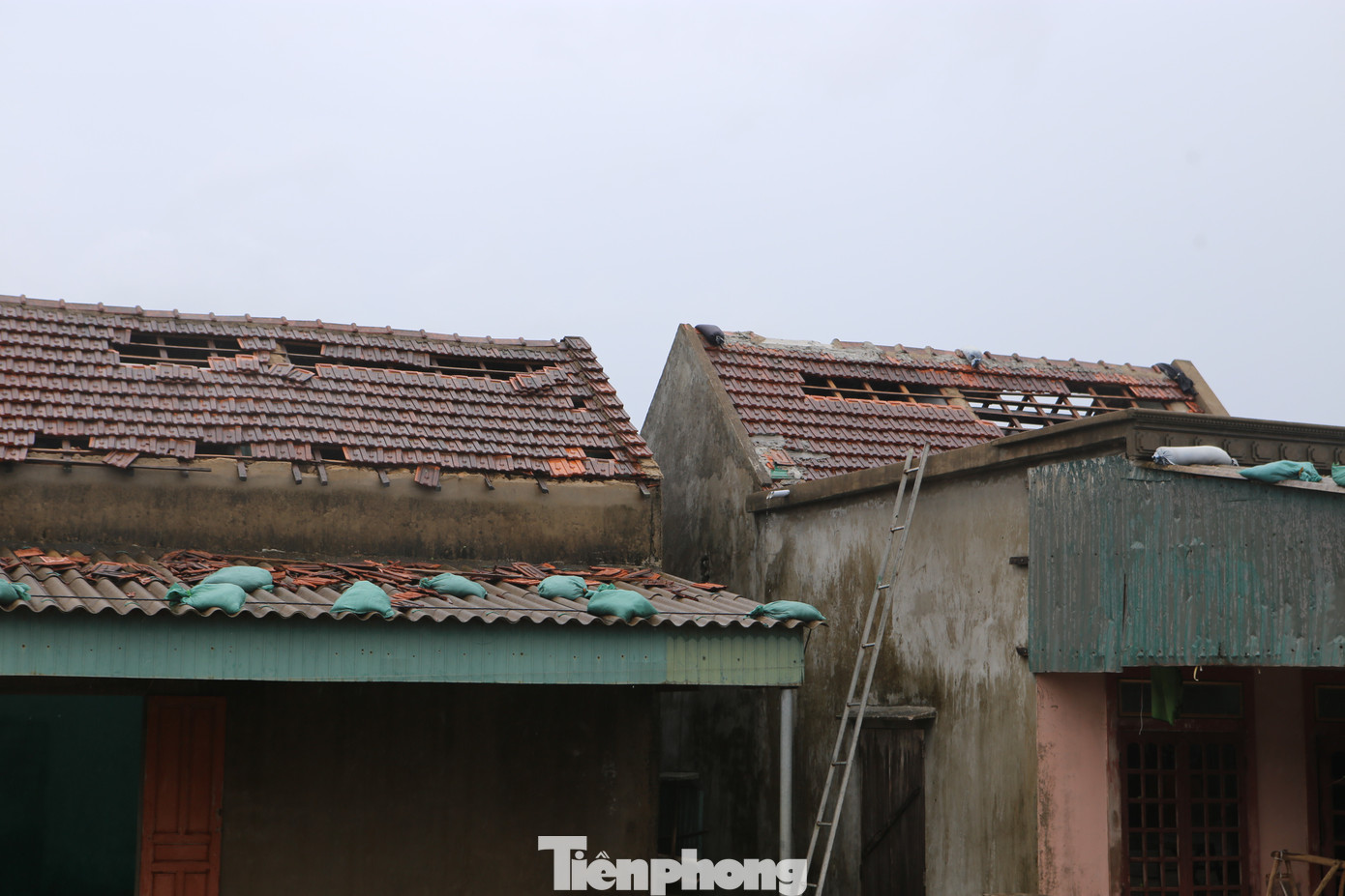 Một tháng hứng chịu 2 cơn bão, người Hà Tĩnh rơi cảnh 'màn trời chiếu đất' - Ảnh 10.