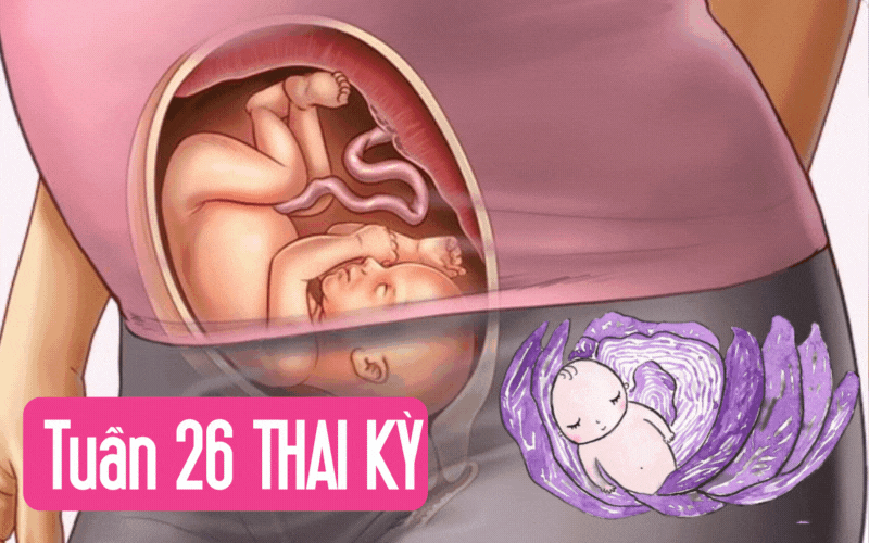 Tuần thai thứ 26: Bé yêu đã có thể mở mắt, còn mẹ bắt đầu khó ngủ