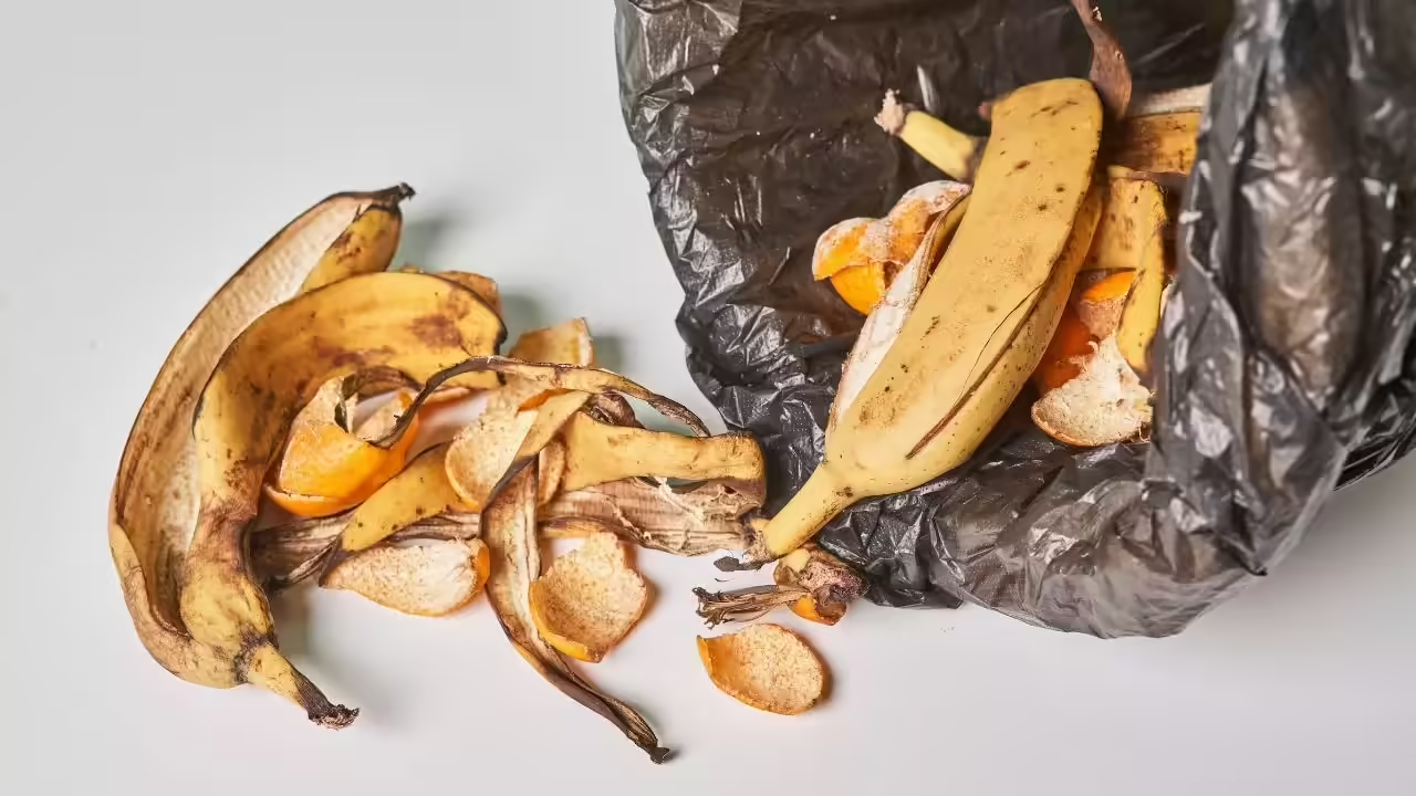 Đừng vội vứt vỏ chuối, vì bạn có thể bỏ lỡ ‘kho báu dinh dưỡng’ cho sức khỏe và sắc đẹp - Ảnh 3.